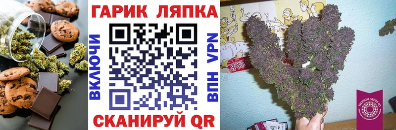 мориарти как зайти  Хилок  Cannafood марихуана  закладка  MEGA как войти 