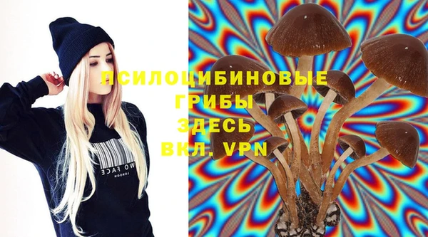 мяу мяу мука Магадан
